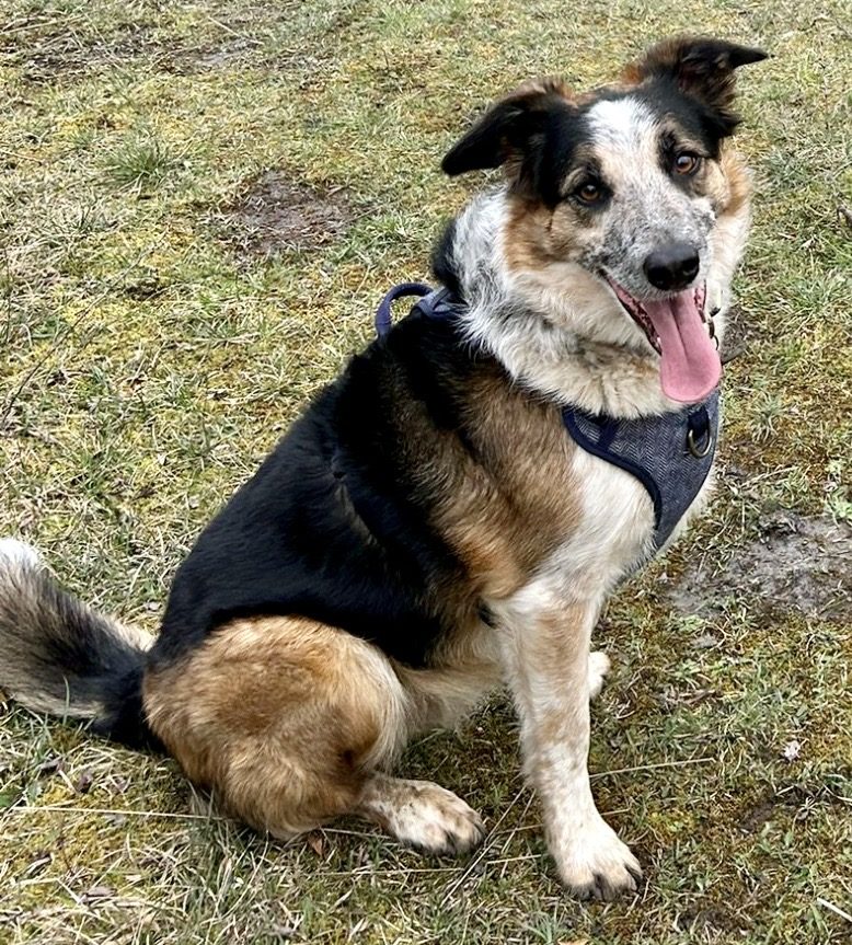 Hugo